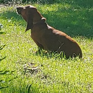 Meet your Posher, Lea